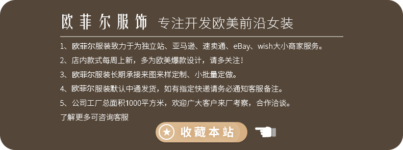 zllkl Autumn New Niche Design Single-Breasted Lapel Print Lantern Sleeve Temperament Long Sleeve Shirt for Women