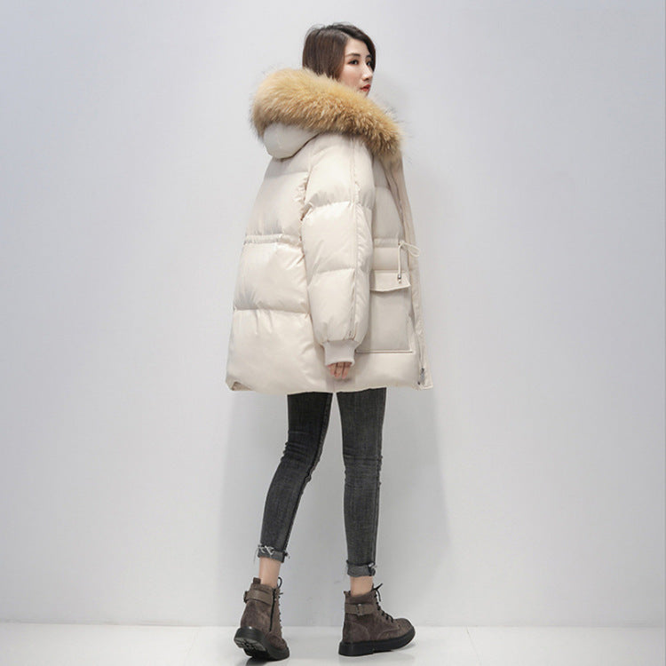 Longshun down cotton-padded clothes winter 2023 new Korean version small loose cotton-padded jacket thickened cotton-padded clothes bread women