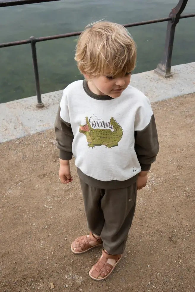 KS Kids Sweaters 2024 New Kids Girls Boys Cute Print Sweatshirts and Pants Outfit Set Outwear Baby Clothes