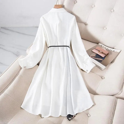 Korean Fashion Print Dress Women Autumn Spring Casual Luxury Design Long Sleeve Long Midi Shirt Dress Belted Female Vestidos