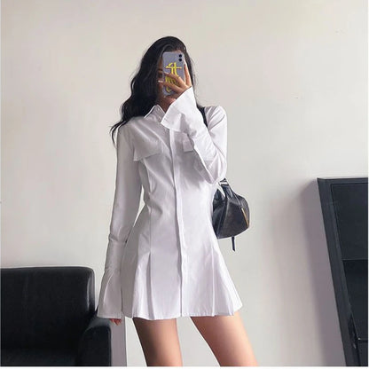 HOUZHOU Black Shirt Dress Women Elegant Vintage Long Sleeve Dresses Sexy Gothic Pleated Streetwear Turn-down Collar Casual Robe