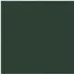 Hunter Green One Shoudler Neckline Evening Dresses  High Side Split Long Sweep Vestidos De Fiesta Arabic Aso Ebi Prom Dress